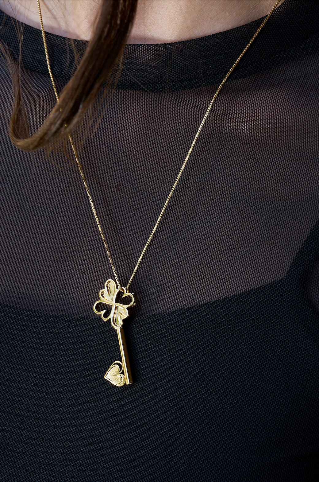 La Chiave - The Key