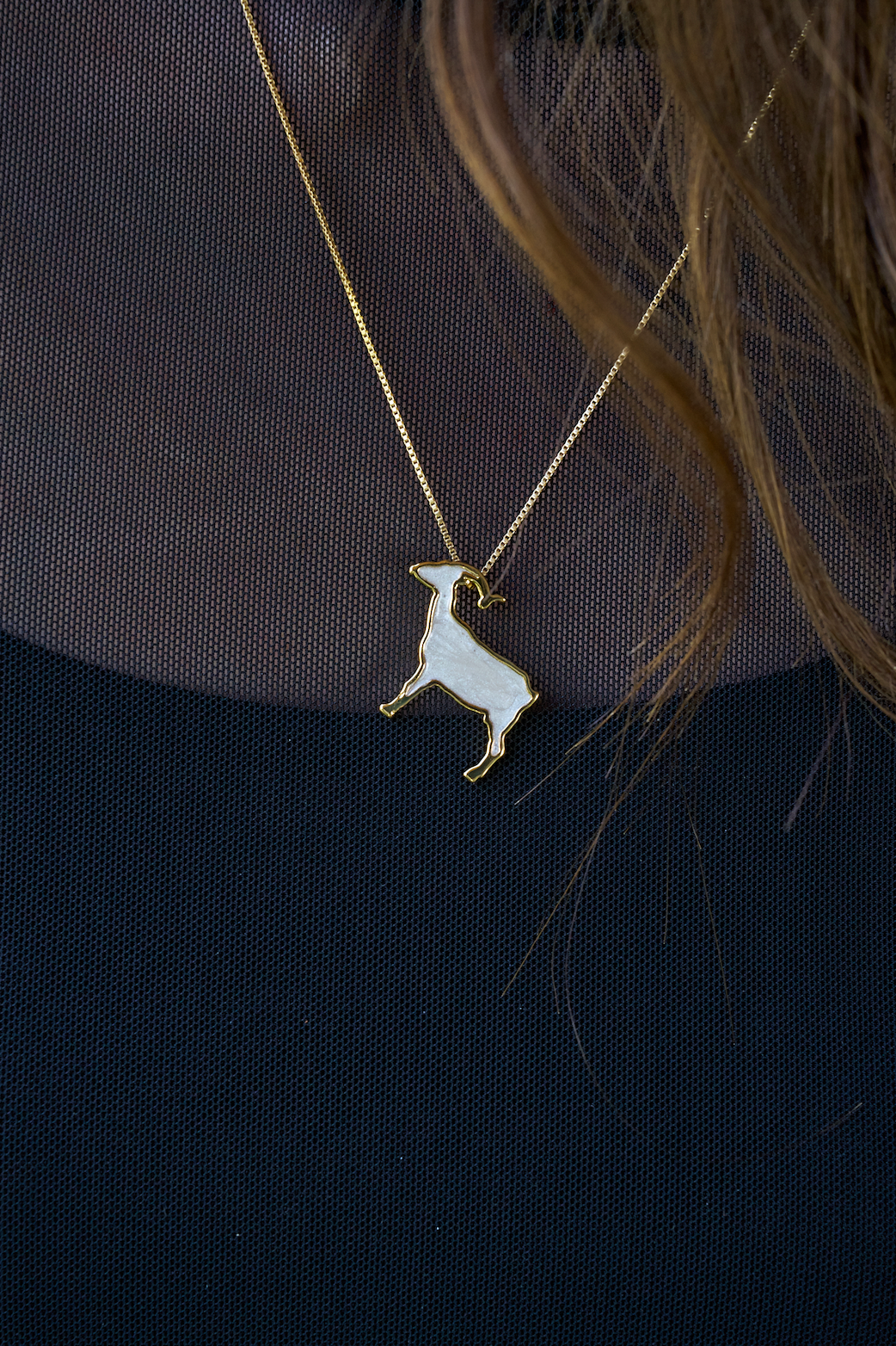 La Capra LL - The LL Goat